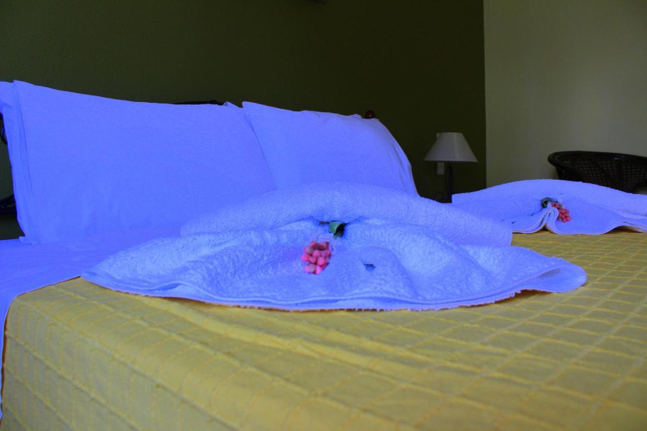 Tzaneria Apartments Skiathos Kanapitsa  エクステリア 写真