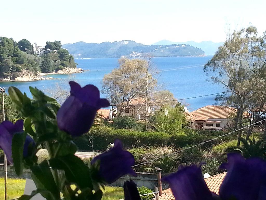 Tzaneria Apartments Skiathos Kanapitsa  エクステリア 写真