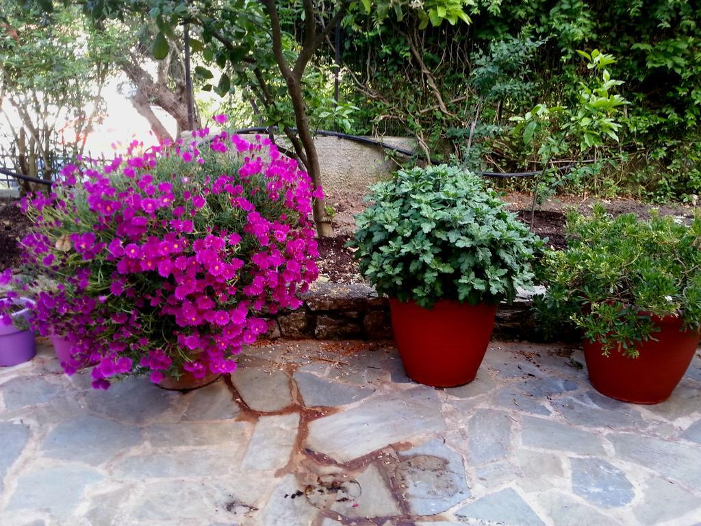 Tzaneria Apartments Skiathos Kanapitsa  エクステリア 写真